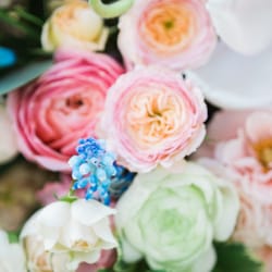 Buttercup Beauty - Madison Wedding Flowers!-photo credit Melissa Grace Photography