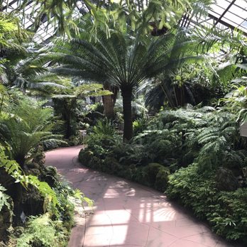 Lincoln Park Conservatory - A whole room just for ferns... unleash your inner dinosaur! - Parks Near Me - Chicago, Illinois