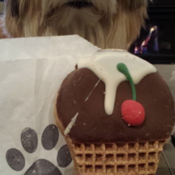 BowwowMeow - Ice cream cookie cone for puppies ;) - Pet Stores Near Me - Newport, Oregon BowwowMeow - Ice cream cookie cone for puppies ;) - Pet Stores Near Me - Newport, Oregon