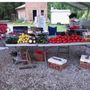 Photo of Tutt’s Farm Fresh Produce