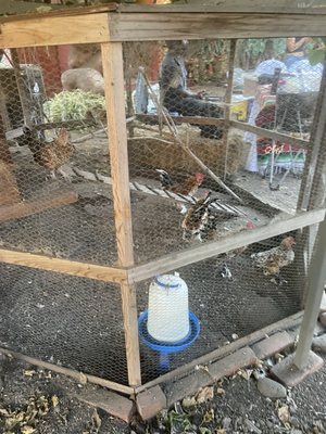 Moonwater Farm by null