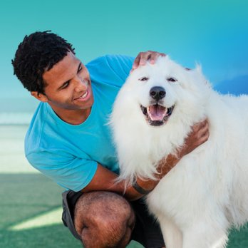 Pet Paradise Ft. Lauderdale - Pet Groomers Near Me - Davie, Florida Pet Paradise Ft. Lauderdale - Pet Groomers Near Me - Davie, Florida