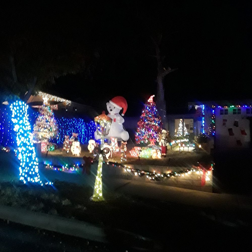 Christmas Tree Lane - Christmas Trees Near Me - Altadena, California Christmas Tree Lane - Christmas Trees Near Me - Altadena, California