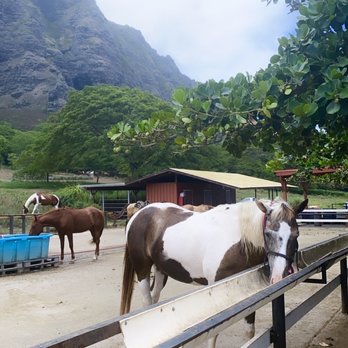 Kualoa Ranch - Tours Near Me - Kaneohe, Hawaii