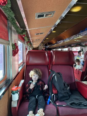 Blue Ridge Scenic Railway by null