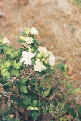 Bedford Camera & Video