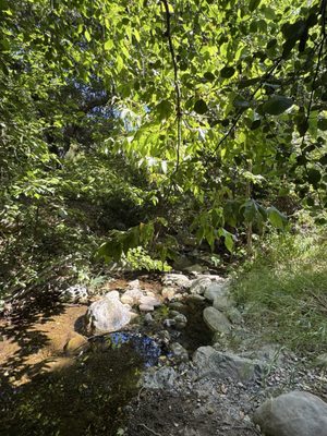 Solstice Canyon by null