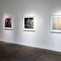 Photo of Gallery Brown