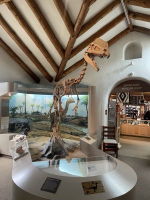 Museum of Northern Arizona by null