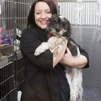 Animal Dental Clinic - Dr. Weldon - Veterinarians Near Me - Aurora, Colorado Animal Dental Clinic - Dr. Weldon - Veterinarians Near Me - Aurora, Colorado