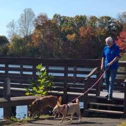Chris Greene Lake