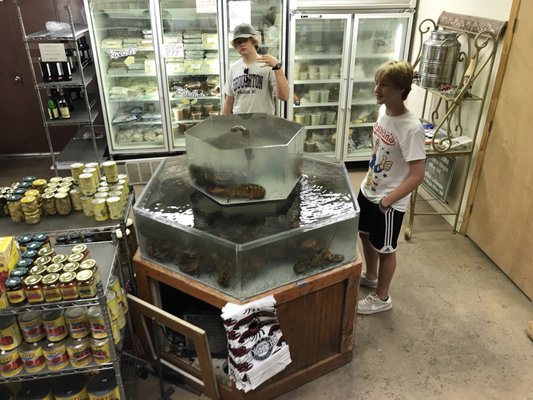 Lee's Farmers Market by null