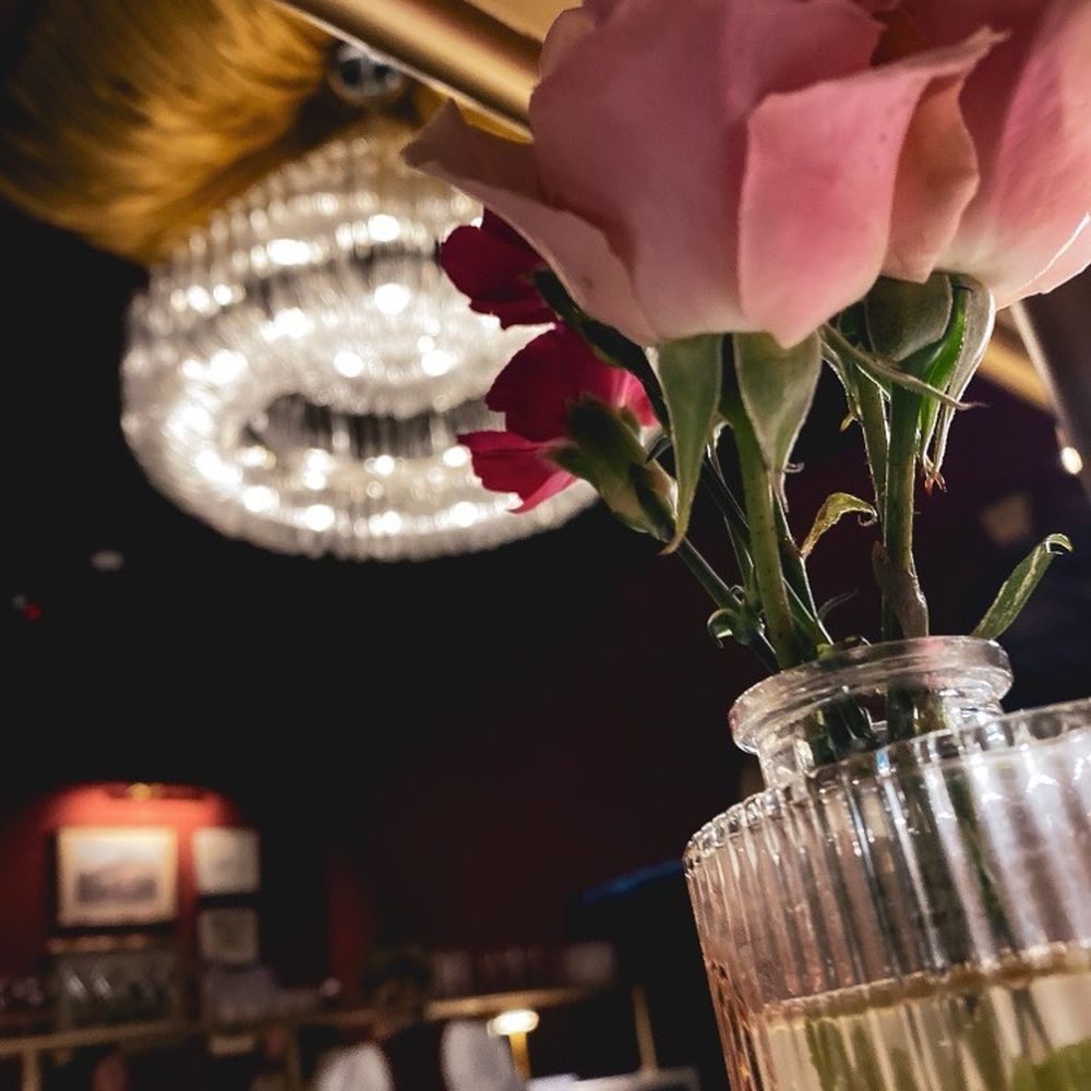 The Kennedy - Piano Bars Near Me - Houston, Texas The Kennedy - Piano Bars Near Me - Houston, Texas
