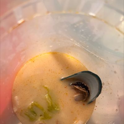 The Silver Lake House (by Leela Thai) by null