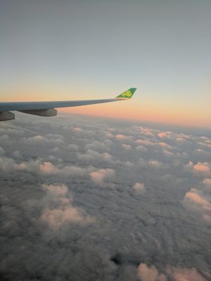 Aer Lingus by null