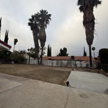 Bronson Tree Service - 3 50ft Mexican Palms with over 20 years of skirt overgrowth. One small 13ft trunk with missing palm crown. - Tree Services Near Me - San Jacinto, California