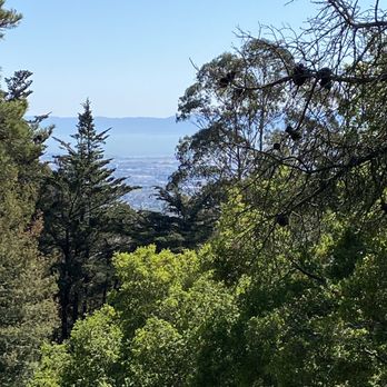 Joaquin Miller Park - Parks Near Me - Oakland, California Joaquin Miller Park - Parks Near Me - Oakland, California