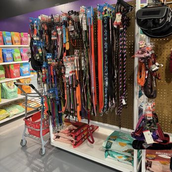 Feed Right Pet Food - Leash - Pet Stores Near Me - Casa Grande, Arizona Feed Right Pet Food - Leash - Pet Stores Near Me - Casa Grande, Arizona