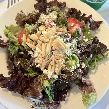 Piatti Danville - Lolla Rossa Salad - Italian Near Me - Danville, California Piatti Danville - Lolla Rossa Salad - Italian Near Me - Danville, California