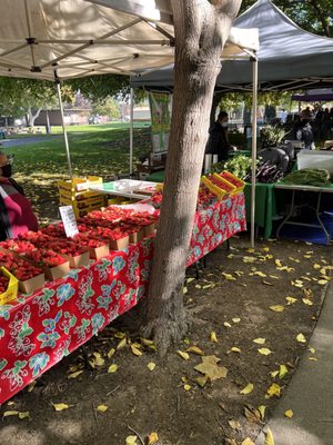Union City Farmers' Market by null