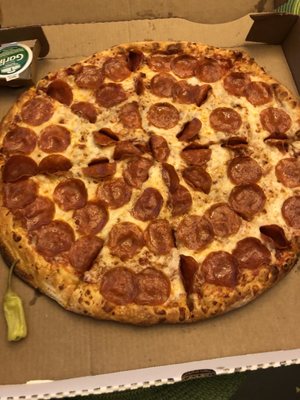 Papa Johns Pizza by null