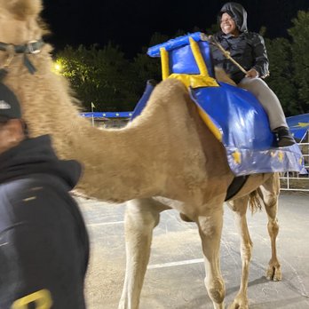 The Big E - Camel ride at The Big E - Stadiums & Arenas Near Me - West Springfield, Massachusetts