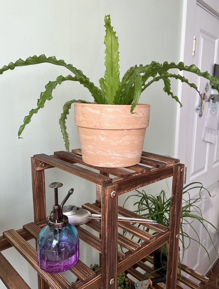 TRADER JOE’S 122 Photos & 119 Reviews 659 Worcester Rd, Framingham