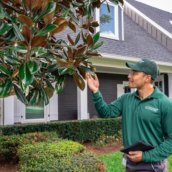 TruGreen Lawn Care - Tree Services Near Me - Jackson, Tennessee TruGreen Lawn Care - Tree Services Near Me - Jackson, Tennessee