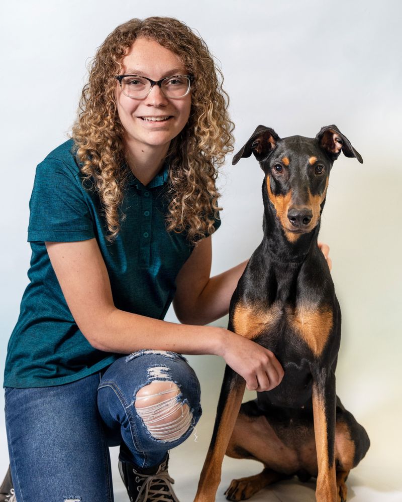 K9 Fluent Professional Dog Training Image