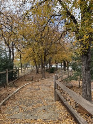 The Antlers Inn by null