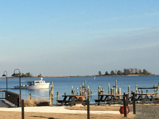 Rappahannock Oyster Co. by null