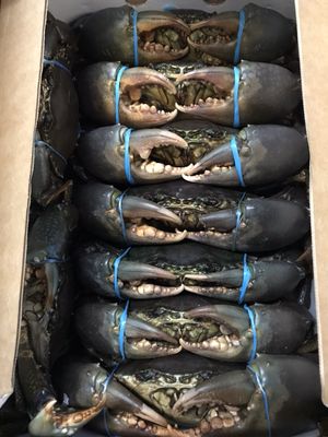 D&K Live Seafood by null
