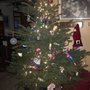 Photo of Haslett Road Christmas Tree Farm
