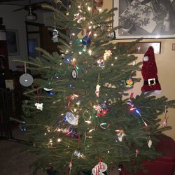 Haslett Road Christmas Tree Farm - She is lush, full, fresh and festive!!