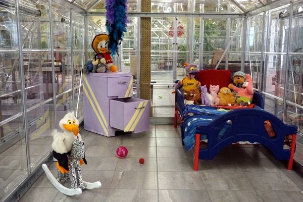 The Cat's Meow by null