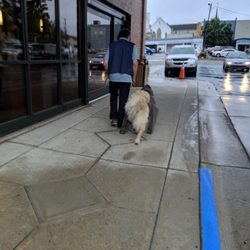 West Michigan Cancer Center - A thoughtful volunteer draped a raincoat over the therapy dog on this rainy day because: 'No one wants to pet a wet dog.'