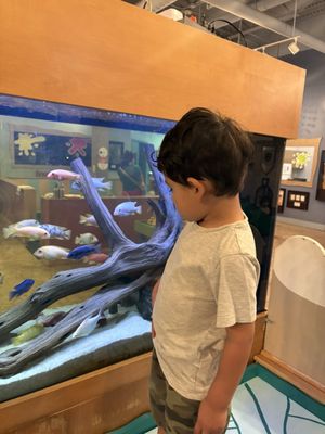 The Woodlands Children's Museum by null