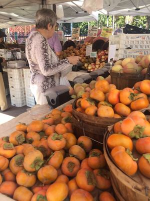 Pershing Square Farmers Market by null