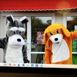 The Dog House Resort & Spa - Have You Been in The Dog Lately!!