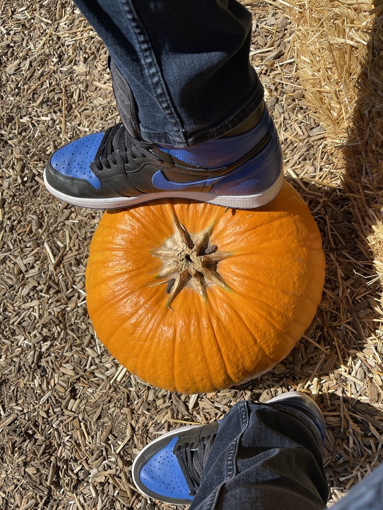 SANTA’S GARDEN 110 Photos & 45 Reviews Christmas Trees 777 S