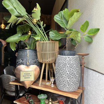 Aunt Yvette’s Kitchen - Love the welcoming plants in pots :) - Ethiopian Near Me - Los Angeles, California Aunt Yvette’s Kitchen - Love the welcoming plants in pots :) - Ethiopian Near Me - Los Angeles, California