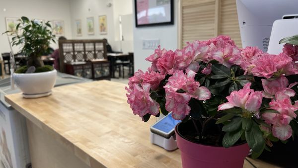 J-korean restaurant by null