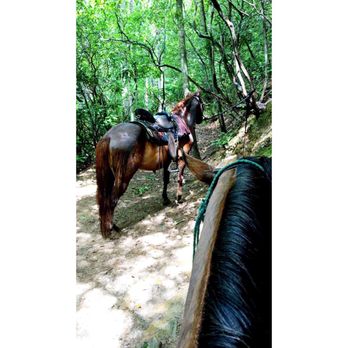 Chunky Gal Stables - Had an amazing ride on Luke and Doc! - Horseback Riding Near Me - Hayesville, North Carolina