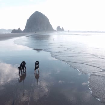 Cannon Beach - Beaches Near Me Cannon Beach - Beaches Near Me
