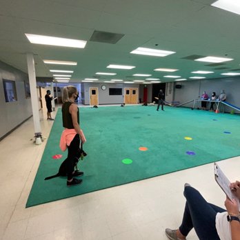 Urban Dog House - Pet Training Near Me - Milpitas, California Urban Dog House - Pet Training Near Me - Milpitas, California