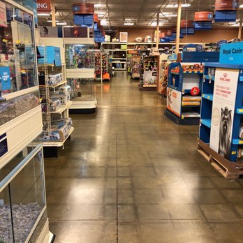 PetSmart Grooming - Pet Training Near Me - Conyers, Georgia PetSmart Grooming - Pet Training Near Me - Conyers, Georgia