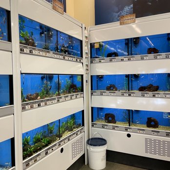 Petco - Pet Stores Near Me - Washington, DC, District of Columbia