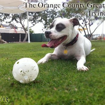 Great Park - The Orange County Great Park - HAPA Boy loves it here! - Parks Near Me - Irvine, California