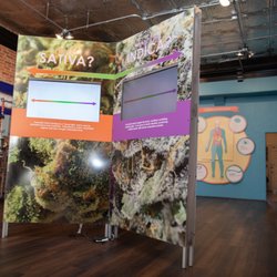 Durango Cannabis Discovery Museum - Learn about the history of cannabis.