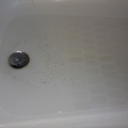 Toilet water backing up into the tub